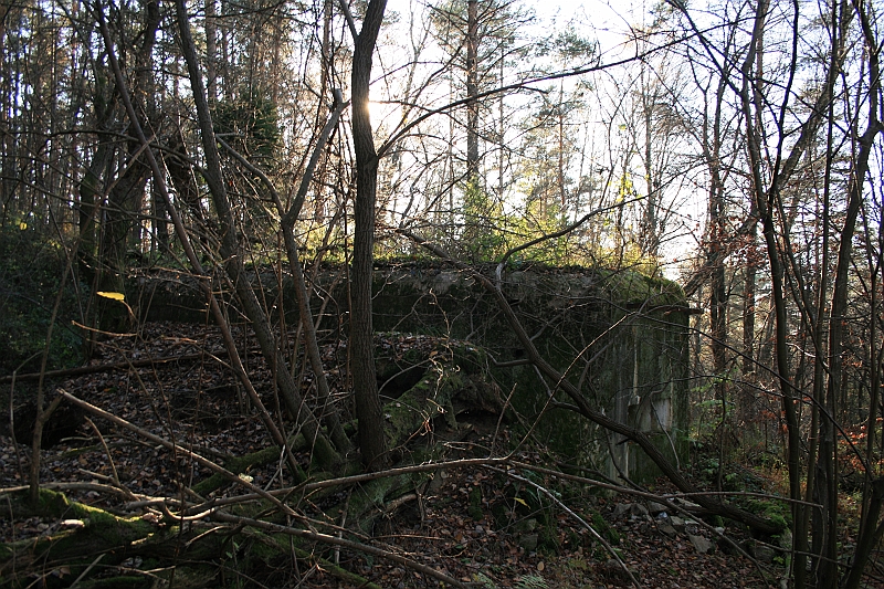 Rostoczek 11.2008 426